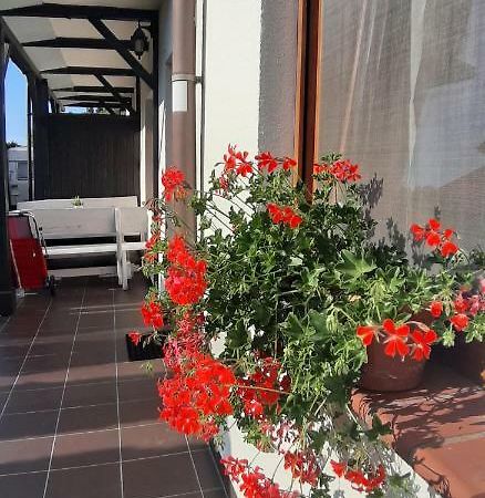 Apartamenty Kalinowa Рови Екстер'єр фото