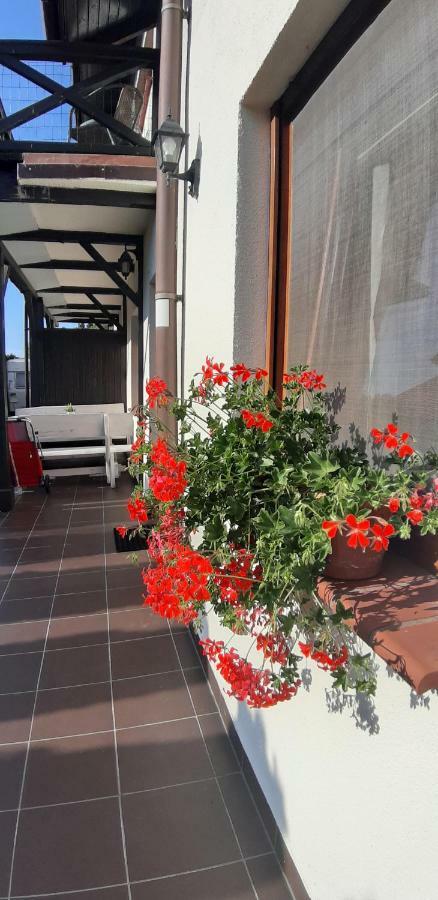Apartamenty Kalinowa Рови Екстер'єр фото
